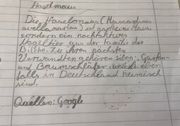 Vorschaubild Haselmaus
