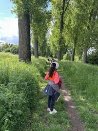 Vorschaubild stufe 2 1.jpg