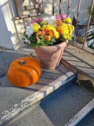 Vorschaubild Halloween Kürbis