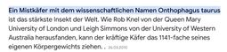 Vorschaubild Quelle : ARIVA