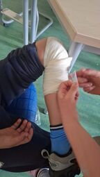 Vorschaubild 