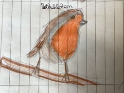Vorschaubild Rotkehlchen