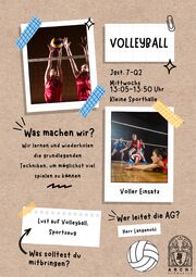 Vorschaubild Volleyball