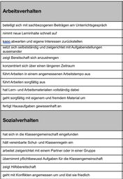 Vorschaubild Kompetenzen im Arbeits- und Sozialverhalten