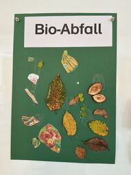 Vorschaubild grüne Tonne: Bio-Abfall