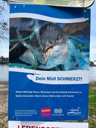 Vorschaubild 