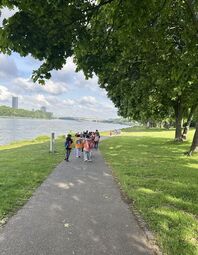 Vorschaubild stufe 2 rhein.jpg