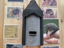 Vorschaubild 