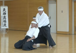 Vorschaubild aus einer Kata der Tenjin-shinyo-ryu
