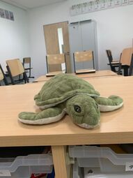 Vorschaubild Mit Momo in Klasse 3