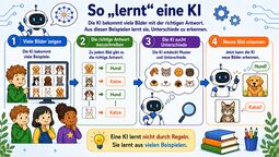 Vorschaubild f5a169d5-2250-4d40-af25-becafc3454b4.png