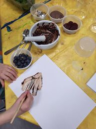 Vorschaubild 