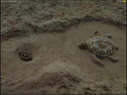 Vorschaubild Sand building