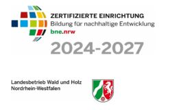 Vorschaubild 
