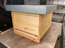 Vorschaubild Einzug der Bienen 1