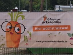 Vorschaubild 