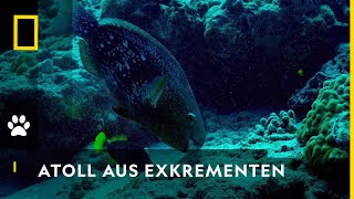 Vorschaubild